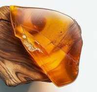 Amberwood