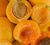 Apricot