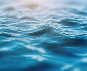 Aquatic Notes