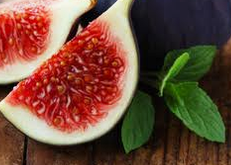 Fig