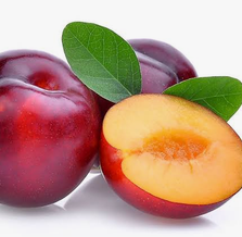 Plum