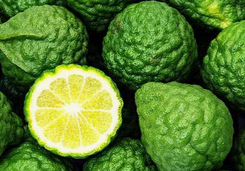 Bergamot