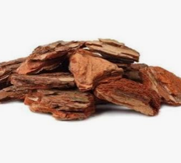 Cedar