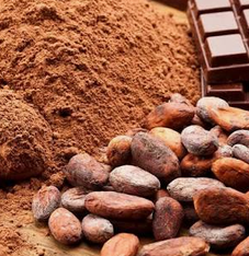Cacao