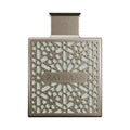 RAYHAAN TERRA 100ML RAYHAAN