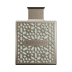 RAYHAAN TERRA 100ML RAYHAAN