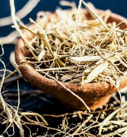 Vetiver